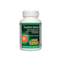 Natural Factors Gastro-Assist Mastic Gum Zinc 60 Tablets 1 Box