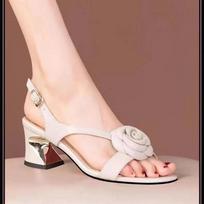 zapatos de mujer women fashion light brown buckle strap square heel shoes lady fashion elegant hollow out sandal ab759 34 beige