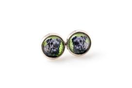 Cesky Terrier, Czech Terrier, Bohemian Terrier - earrings your photo handmade, own photo, jewelry from the Art.-Dog brand sidabras