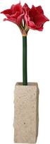 Botane Dirbtinė gėlė Botane amarilis 72 cm, tamsiai rožinė