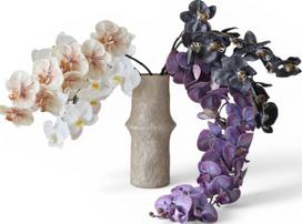 Botane Dirbtinės gėlės puokštė Orchid Study