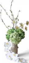 Botane Dirbtinių gėlių puokštė Soft Volume