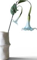 Botane Dirbtinė gėlė Botane durnaropė 129 cm, šviesiai mėlyna