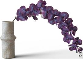 Botane Dirbtinė gėlė Botane orchidėja 134 cm, violetinė, stambiažiedė