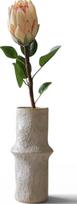 Botane Dirbtinė gėlė Botane protea 70 cm, kreminė
