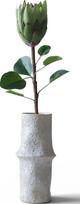 Botane Dirbtinė gėlė Botane protea 70 cm, žalia