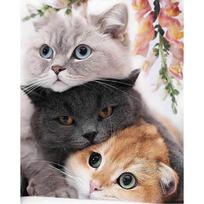 5D deimantinė mozaika 40×50 cm – Three Kittens (LG299e)