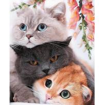 Tapybos pagal skaičius rinkinys 40×50 cm – Three Kittens (MG2431e)