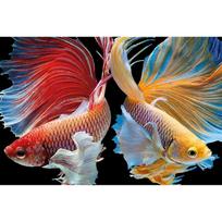 Tapybos pagal skaičius rinkinys 20×30 cm – Wish come true (MC1124e)