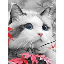 Tapybos pagal skaičius rinkinys 30×40 cm – Blue eyes (ME1153e)