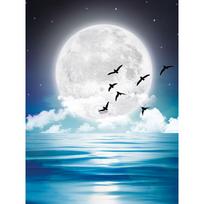 Tapybos pagal skaičius rinkinys 30×40 cm – In the moonlight (ME1147e)