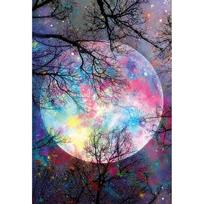 Tapybos pagal skaičius rinkinys 60×90 cm – The Moonlight (MMT001e)