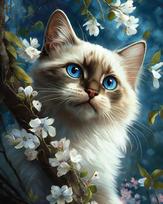 Tapybos pagal skaičius rinkinys 40×50 cm – Cat's harmony (MG2476e)