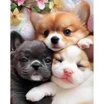 Tapybos pagal skaičius rinkinys 40×50 cm – Fluffy Little Faces (MG2498e)