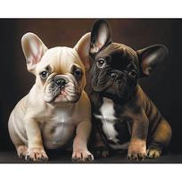 Tapybos pagal skaičius rinkinys 40×50 cm – Bulldog Buddies (MG2518e)