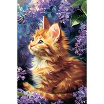 5D deimantinė mozaika 20×30 cm – Ginger Kitten (LC064e)