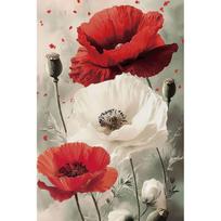Tapybos pagal skaičius rinkinys 20×30 cm – Blooming Poppies (MC1153e)