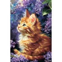 Tapybos pagal skaičius rinkinys 20×30 cm – Ginger Kitten (MC1157e)