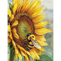 Tapybos pagal skaičius rinkinys 40×50 cm – Honey Afternoon (MG2539e)