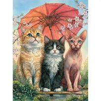 Tapybos pagal skaičius rinkinys 30×40 cm – Cat Idyll (ME1196e)