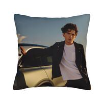 Singer H-Harrys S-Styles  Pillow Case  Fashion Pillow Cover Print Pillowcases For Wedding Party Home Decor 12x12Inch gray