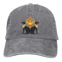 Pure Color Cowboy Hats Cat Essential Women's Hat Sun Visor Baseball Caps Ancient Egypt Egyptian Peaked Trucker Dad Hat gray
