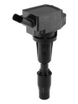 BorgWarner (BERU) ZSE300 Ritė, uždegimas