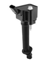 BorgWarner (BERU) ZSE293 Ritė, uždegimas