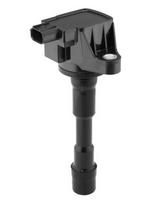 BorgWarner (BERU) ZSE291 Ritė, uždegimas