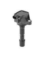BorgWarner (BERU) ZSE210 Ritė, uždegimas