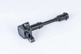 BorgWarner (BERU) ZSE203 Ritė, uždegimas