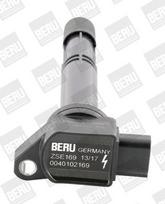 BorgWarner (BERU) ZSE169 Ritė, uždegimas