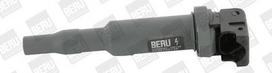 BorgWarner (BERU) ZSE145 Ritė, uždegimas