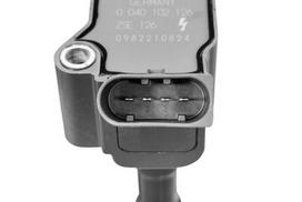 BorgWarner (BERU) ZSE126 Ritė, uždegimas