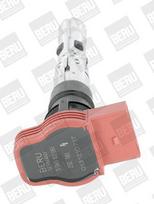 BorgWarner (BERU) ZSE061 Ritė, uždegimas