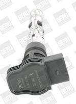 BorgWarner (BERU) ZSE062 Ritė, uždegimas