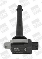 BorgWarner (BERU) ZSE056 Ritė, uždegimas