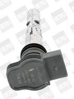BorgWarner (BERU) ZSE043 Ritė, uždegimas