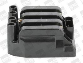BorgWarner (BERU) ZSE029 Ritė, uždegimas