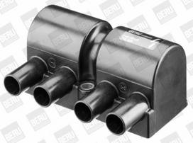 BorgWarner (BERU) ZSE025 Ritė, uždegimas
