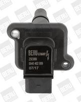 BorgWarner (BERU) ZSE009 Ritė, uždegimas
