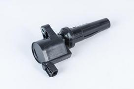 BorgWarner (BERU) ZS592 Ritė, uždegimas