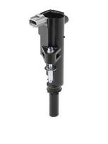 BorgWarner (BERU) ZS606 Ritė, uždegimas
