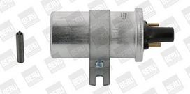 BorgWarner (BERU) ZS570 Ritė, uždegimas