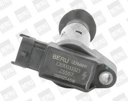 BorgWarner (BERU) ZS557 Ritė, uždegimas