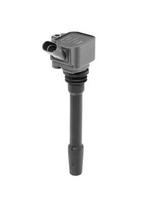 BorgWarner (BERU) ZS587 Ritė, uždegimas