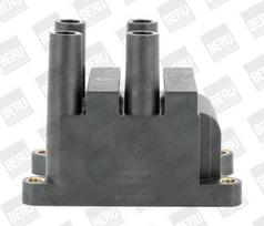 BorgWarner (BERU) ZS556 Ritė, uždegimas