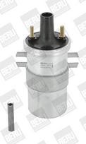BorgWarner (BERU) ZS546 Ritė, uždegimas