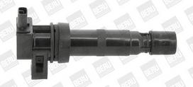 BorgWarner (BERU) ZS531 Ritė, uždegimas
