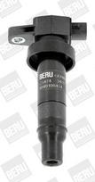 BorgWarner (BERU) ZS474 Ritė, uždegimas